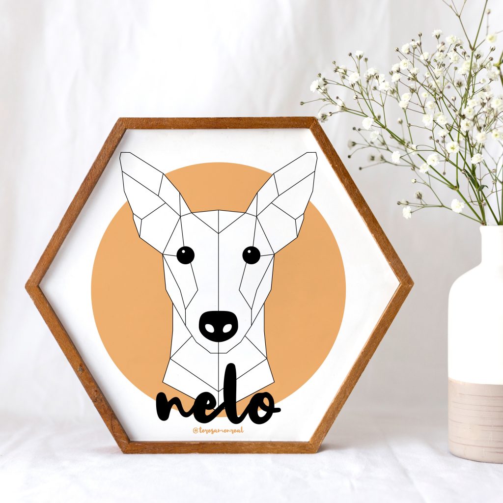 Ilustración geométrica, retrato perro llamado Nelo, podenco.